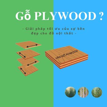 go-ply-wood-la-gi